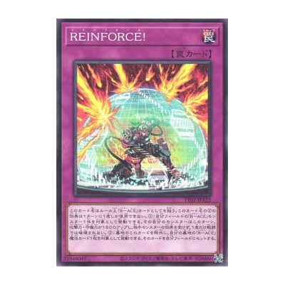 REINFORCE - TT02-JPA23