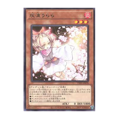 Ash Blossom Joyous Spring - TTP1-JP078