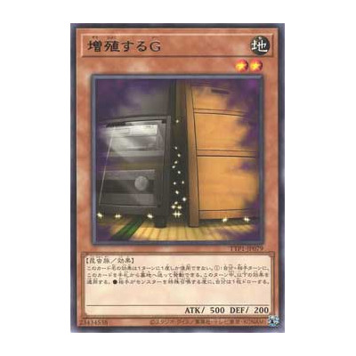 Maxx C - TTP1-JP079