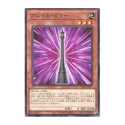 Ashoka Pillar - TTP1-JP077