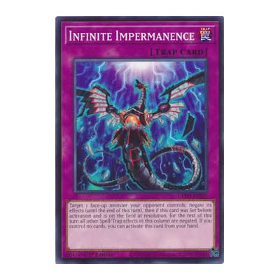 Infinite Impermanence - LAVD-ENS21