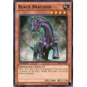Black Brachios - LVAL-EN038