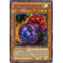Ultimate Insect LV1