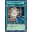 Final Ritual of the Ancients