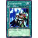 Kishido Spirit - DR1-EN093