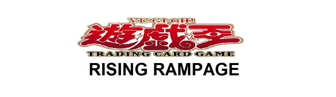Rising Rampage (RIRA)