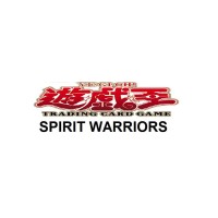 Spirit Warriors (DBSW)