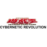 Cybernetic Revolution (CRV-JP)